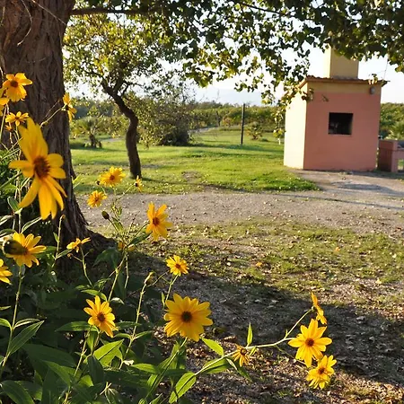 Apart Otel Fattoria Santa Lucia Le Tagliate 3*