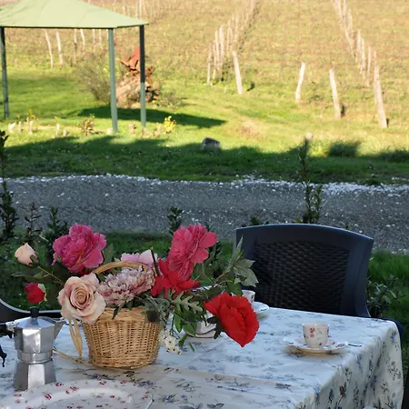 Fattoria Santa Lucia Le Tagliate