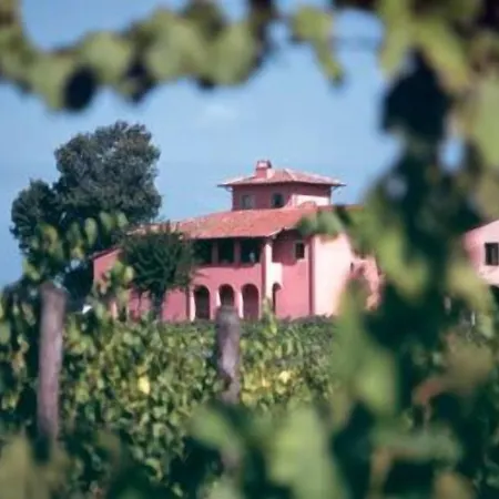 Fattoria Santa Lucia Le Tagliate San Gervasio (Pisa)